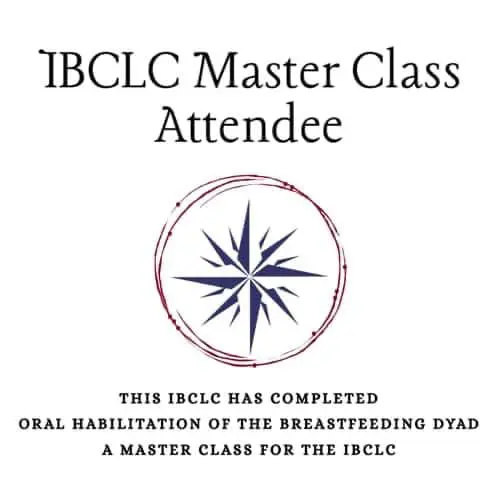 Bayou City Breastfeeding IBCLC Master Class