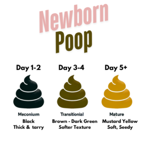 Color Transition for Newborn dirty Diapers