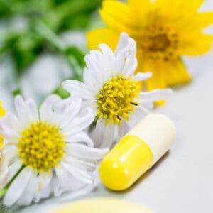 Adult Lactation Supplements