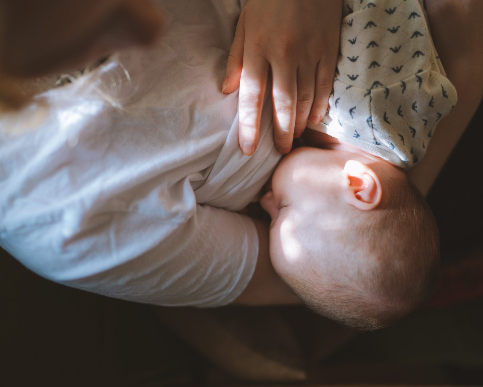 A newborn latching during breastfeeding, seen from above in soft window light