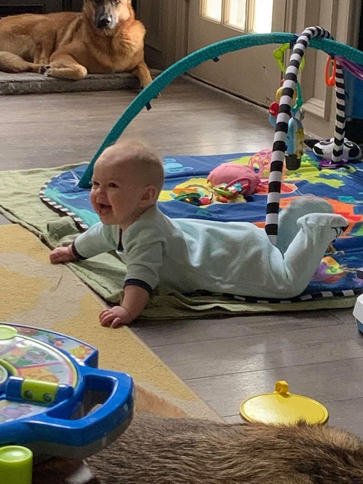 A baby reclining in a bouncer seat on a patterned blanket.