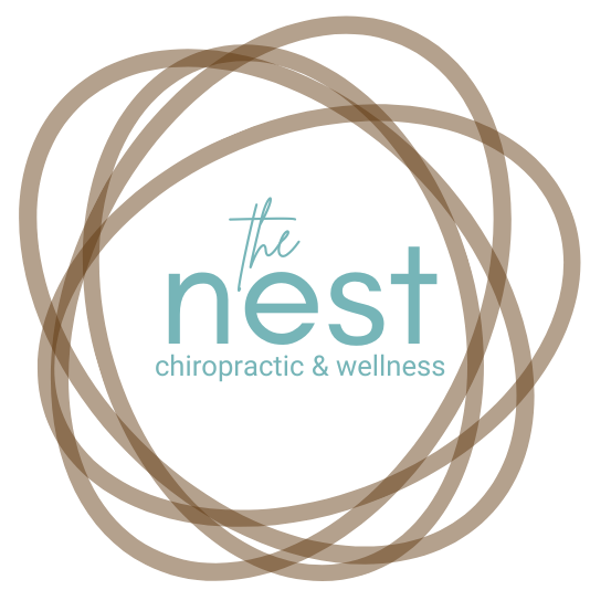 nest chiropractic logo