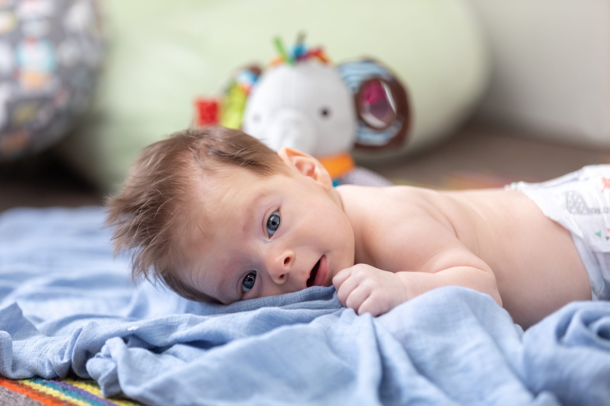 A bright-eyed baby on a soft blue blanket during tummy time, with a plush elephant toy nearby